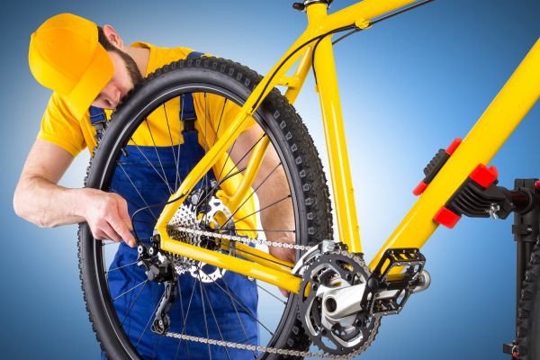 Bike Assembly in Novato